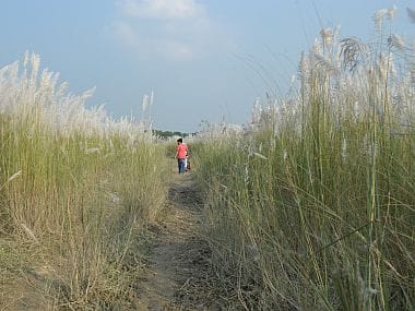 The path to get to the village. Tarique Anwar/ Firstpost