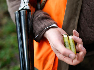 Shocker: 8-year-old girl tells 11-year-old neighbour he can't play with her puppy, he shoots her dead Shocker: 8-year-old girl tells 11-year-old neighbour he can't play with her puppy, he shoots her dead