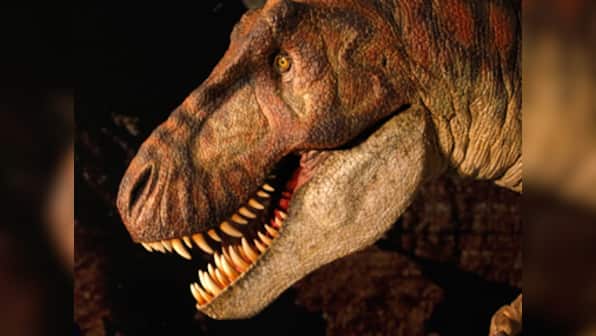 Forget what you saw in the movies: Tyrannosaurs were cannibals!