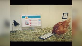 The world's first tweeting chicken is here, and how!