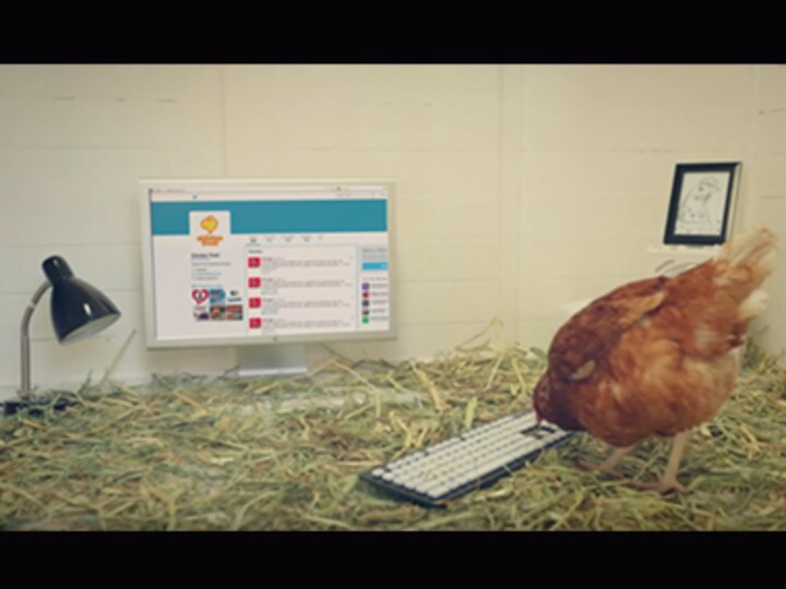 The world's first tweeting chicken is here, and how!
