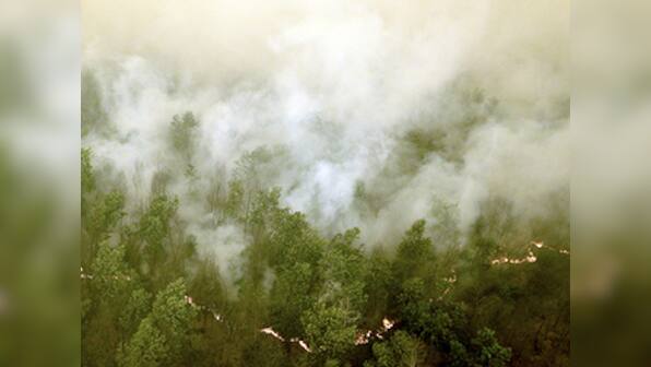 Indonesia fights massive forest fire, officials term it biggest in country's history