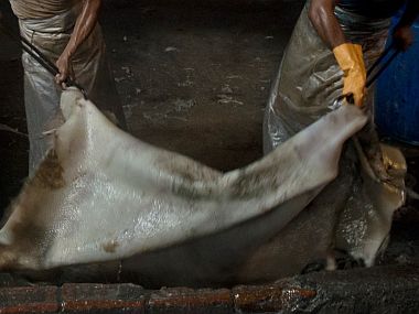 India’s leather industry takes a hit as incidents of cow-vigilantism soar: Exports declined by over 3% last year India’s leather industry takes a hit as incidents of cow-vigilantism soar: Exports declined by over 3% last year