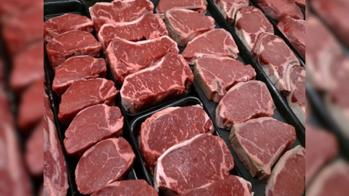 Art Attack: Kolkata's artists host beef party on the street to protest ...