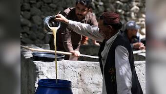 A look at the illicit winemaking tradition that is older than Islam in North Pakistan