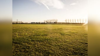 Netherlands to commemorate MH17 victims by planting 298 trees near Schiphol airport