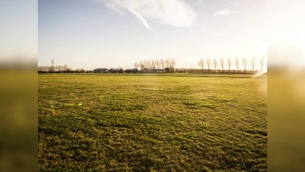 Netherlands to commemorate MH17 victims by planting 298 trees near Schiphol airport