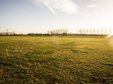 Netherlands to commemorate MH17 victims by planting 298 trees near Schiphol airport