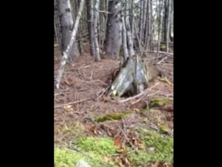 Watch: This creepy video shows us how planet Earth is alive and breathing