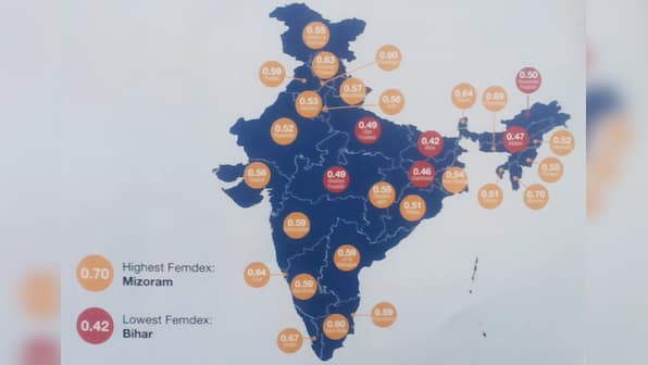 Ranked below Chad and Yemen, India's gender equality saga is a sordid tale for women, says survey