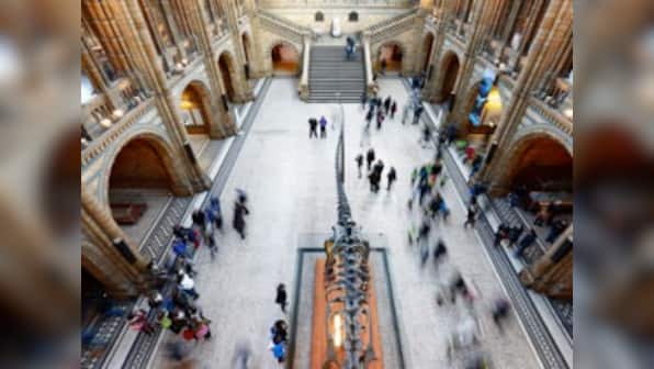 What's in a name? Study finds 50% of specimens in natural history museums could be wrongly named