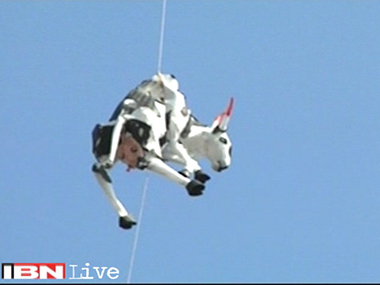 Divine Bovine controversy: While battling the demon of intolerance, let us not forget the monster of literalism Divine Bovine controversy: While battling the demon of intolerance, let us not forget the monster of literalism