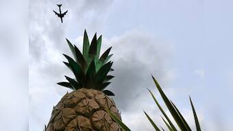 Worst fashion decision ever? World leaders to don pineapple shirts in Philippines