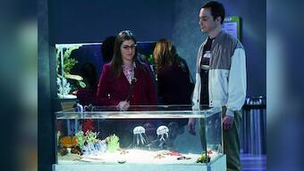 At last! Sheldon, Amy take big step on 'Big Bang Theory'