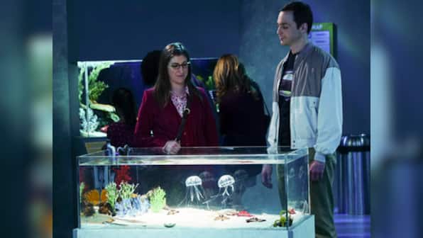 At last! Sheldon, Amy take big step on 'Big Bang Theory'