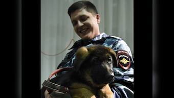 'Doggy' diplomacy: Russia gifts France a puppy to replace police canine killed after Paris attacks