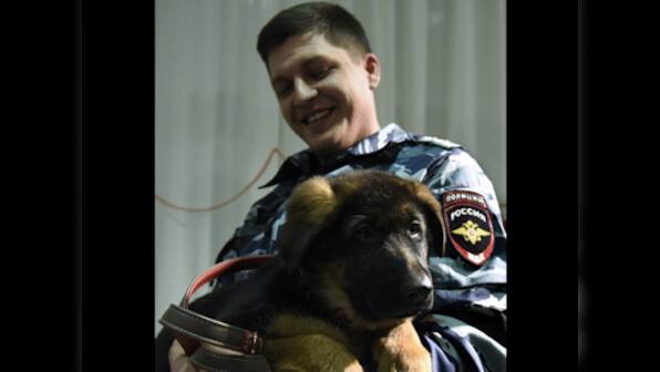'Doggy' diplomacy: Russia gifts France a puppy to replace police canine killed after Paris attacks