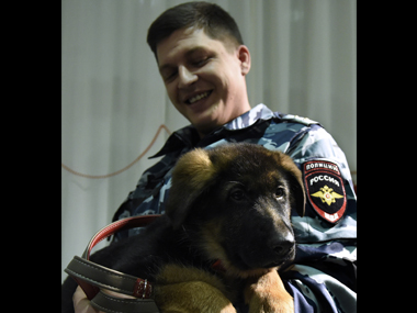 'Doggy' diplomacy: Russia gifts France a puppy to replace police canine killed after Paris attacks 'Doggy' diplomacy: Russia gifts France a puppy to replace police canine killed after Paris attacks