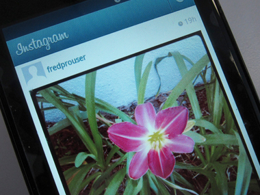 From 'willow' to 'Juno': 2015's most popular names draw inspiration from Instagram filters From 'willow' to 'Juno': 2015's most popular names draw inspiration from Instagram filters