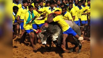 Jallikattu: Bull taming is cruelty at its best, TN parties using it for political gains