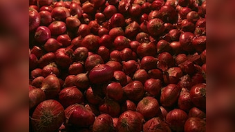 At least 1,000 tonnes onions expected by month-end as private traders place orders