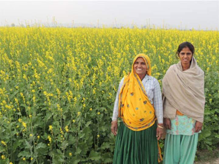Reliance Industries wins 'energy Oscars' Platts Global Energy Award for robust CSR role