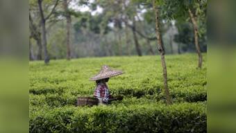 Tea exports to Pakistan to take a hit post-Pulwama terror attack; exporters say business secondary