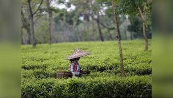 CPM alleges Hindu Jagran Mancha forcefully reconverted 98 Christian tribals in Tripura to Hinduism; right-wing body denies charges