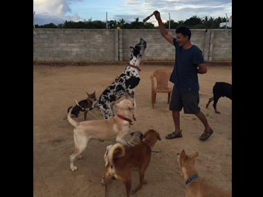 Pet pals: Chennai did not forget animals in distress, many joined hands to protect its furry friends Pet pals: Chennai did not forget animals in distress, many joined hands to protect its furry friends