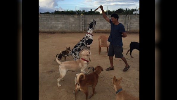 Pet pals: Chennai did not forget animals in distress, many joined hands to protect its furry friends