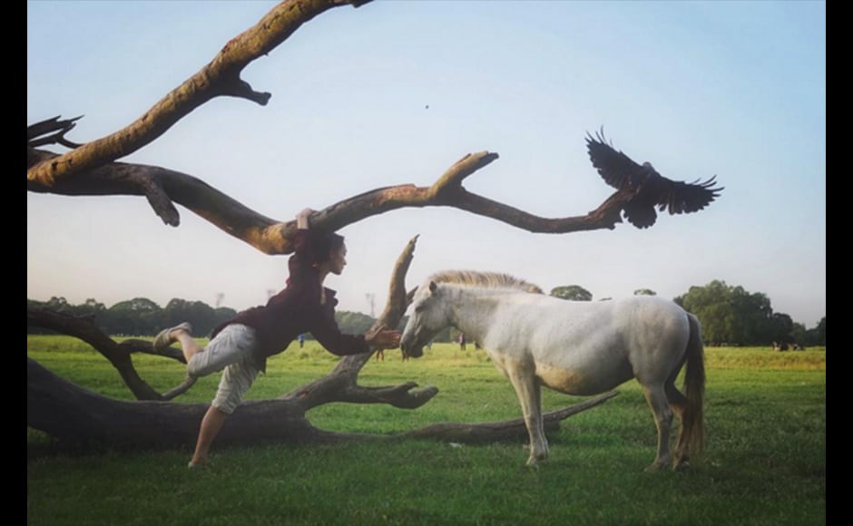 Photographer Ronny Sen, 29, captures art in motion as he frames Japanese choreographer and martial arts specialist Akiko Kitamura alongside a barren tree, green grass, a horse and a bird. Photographer Ronny Sen, 29, captures art in motion as he frames Japanese choreographer and martial arts specialist Akiko Kitamura alongside a barren tree, green grass, a horse and a bird.