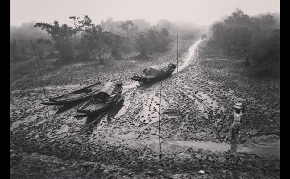 At the Sunderbans, man, river and forest share a close relationship. Dire poverty urges people to fish in the river and collect honey and firewood in the forest to make their living, as seen in this photograph by 36-year-old businessman, Supriyo Ranjan Sarkar. At the Sunderbans, man, river and forest share a close relationship. Dire poverty urges people to fish in the river and collect honey and firewood in the forest to make their living, as seen in this photograph by 36-year-old businessman, Supriyo Ranjan Sarkar.