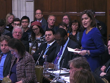 Fool, idiot, buffoon, bonkers: British MPs attack Donald Trump at parliamentary debate Fool, idiot, buffoon, bonkers: British MPs attack Donald Trump at parliamentary debate