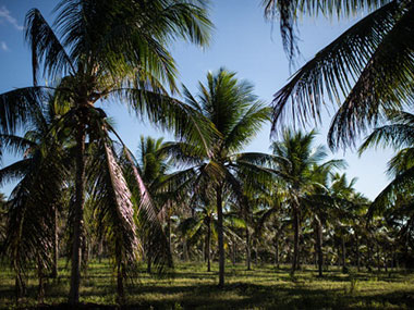 Environmentally-damaging legislations of Goa government come under attack by Parliamentary Standing Committee Environmentally-damaging legislations of Goa government come under attack by Parliamentary Standing Committee