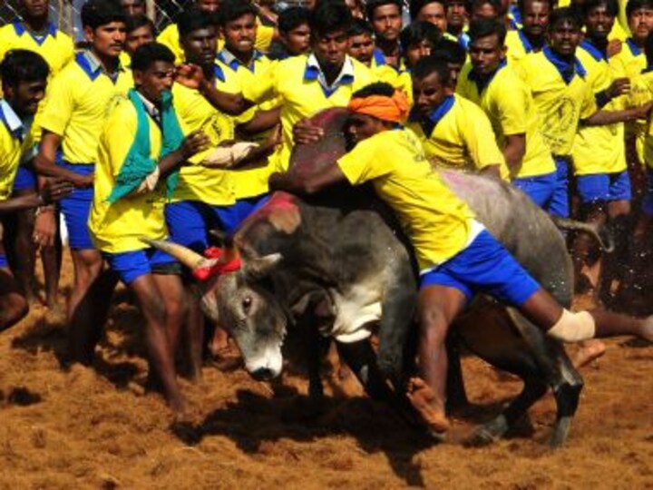 Tamil Nadu: 28 arrested for holding Jallikattu defying ban, stirs continue