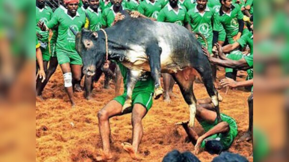 Jallikattu ordinance: Tamil Nadu parties welcome govt move but demand permanent solution