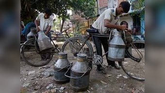 Milky matters: Maneka Gandhi writes on the dark side of India's 'White flood'
