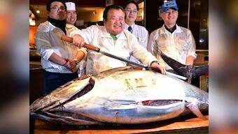 Sold! Endangered Pacific bluefin tuna goes for $117,000 at auction in Japan