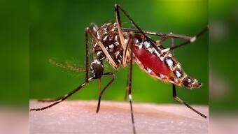 Zika arrives in Europe: Danish hospital says case of the virus discovered