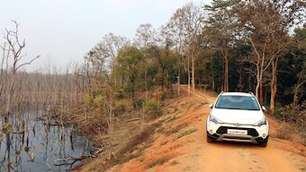 Exploring the forests of Chhatisgarh