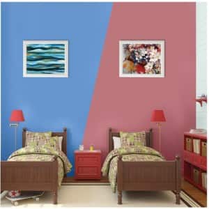 Image Courtesy: Nerolac Paints
