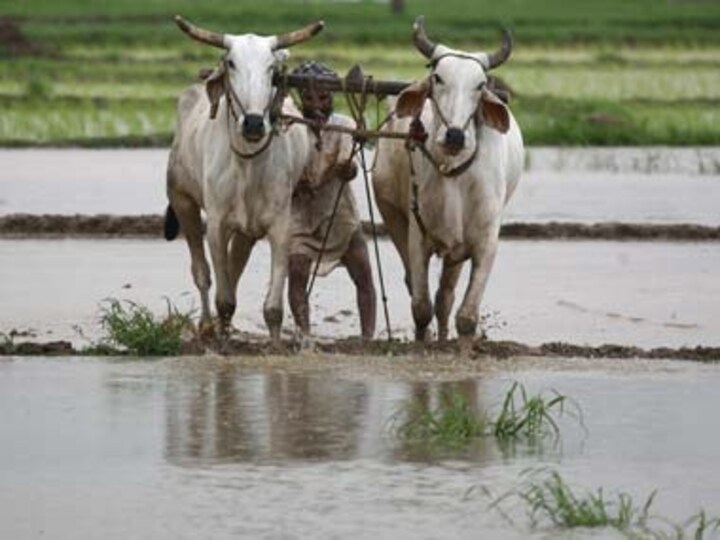Budget 2016: For ‘Bharat’ to deliver, govt should take steps to make agriculture profitable