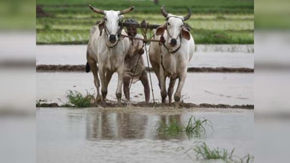 Monsoon worry: Don’t press the panic button yet; the rain Gods aren’t angry this year