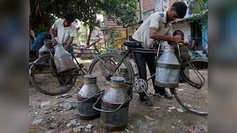 Demonetisation: Gujarat farmers warn of stopping milk supply; demand note-exchange at co-op banks