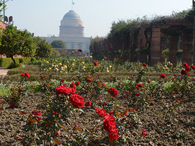 Feast your eyes with colours at the Mughal Gardens, it opens for all on 12 Feb Feast your eyes with colours at the Mughal Gardens, it opens for all on 12 Feb