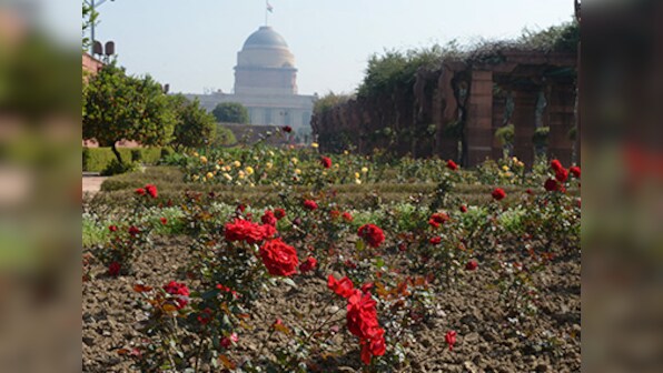 Feast your eyes with colours at the Mughal Gardens, it opens for all on 12 Feb