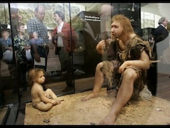 Neanderthals And Humans Interbred 100 000 Years Ago Study World News Firstpost