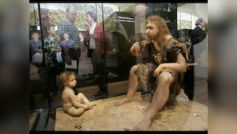 Neanderthals and humans interbred 100,000 years ago: Study