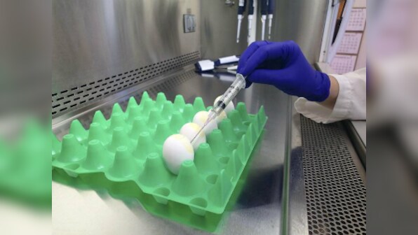 The Maneka Gandhi column: Bio-engineered food is the solution for a healthy economy