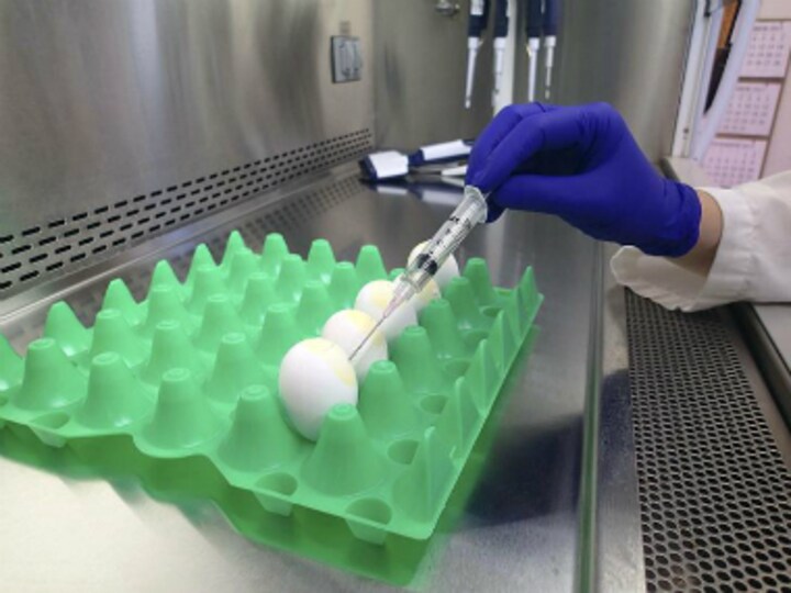 The Maneka Gandhi column: Bio-engineered food is the solution for a healthy economy